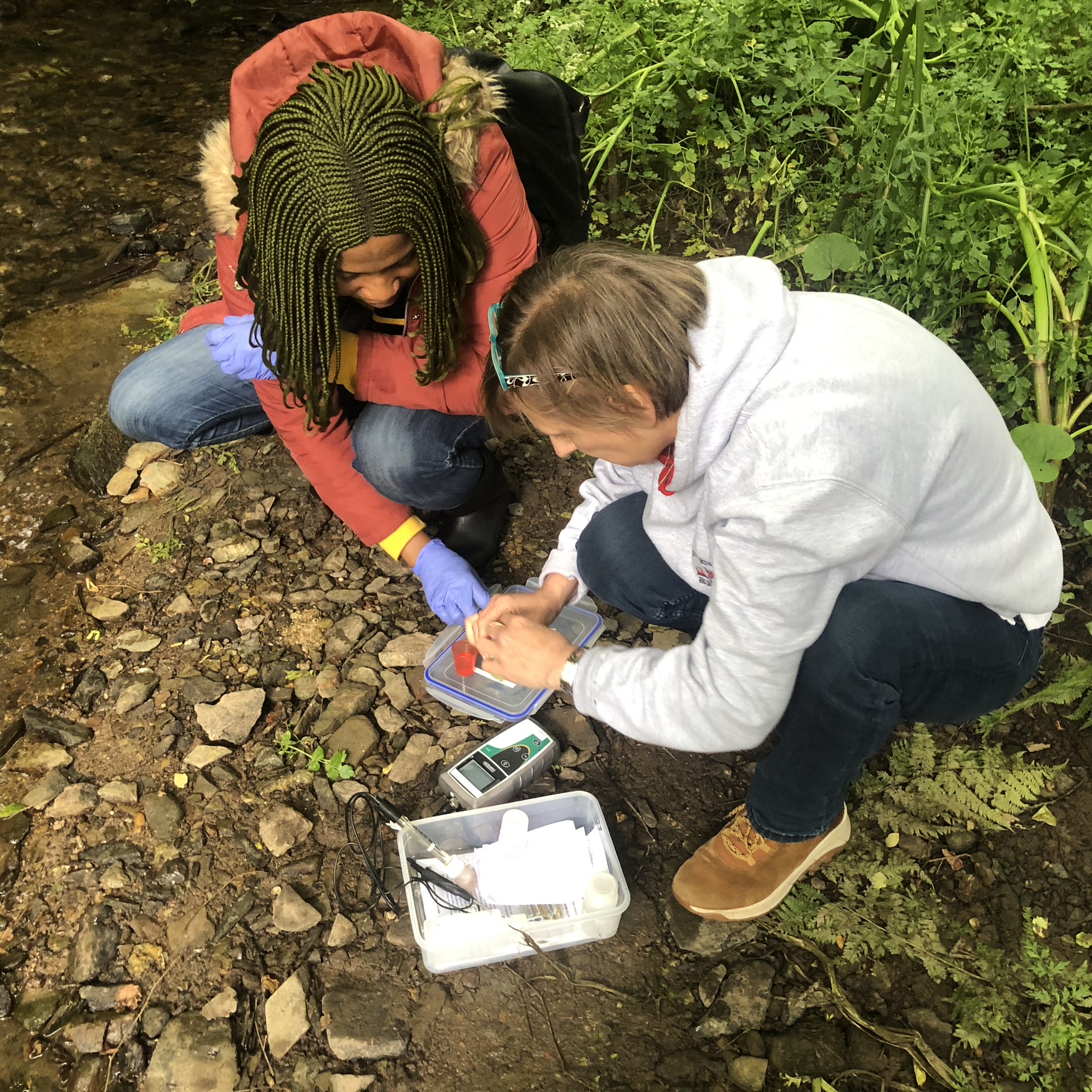 Flete Field Lab Project - Shelley Castle